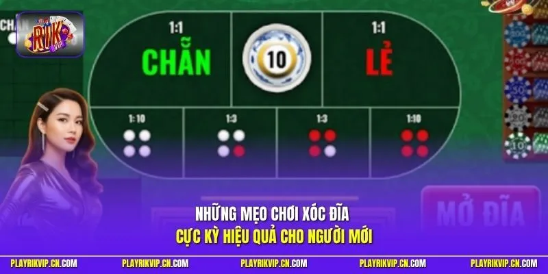 Những mẹo chơi xóc đĩa cực kỳ hiệu quả cho người mới