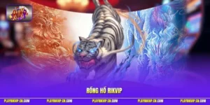 Rồng Hổ