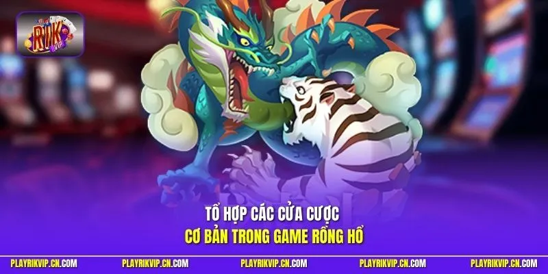 Tổ hợp các cửa cược cơ bản trong game Rồng Hổ